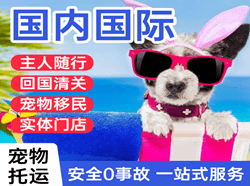 南通兴东机场空运国际宠物托运 【国